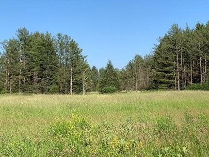 Property for sale in Waupaca County, Wisconsin