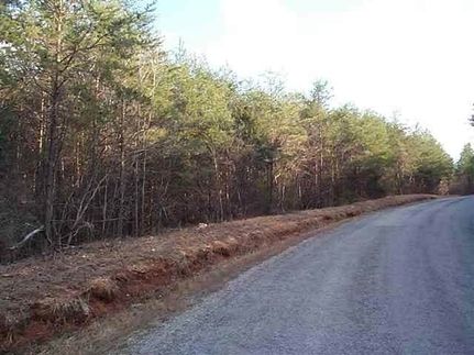 Property for sale in Meigs County, Tennessee