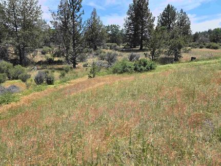 Property for sale in Siskiyou County, California