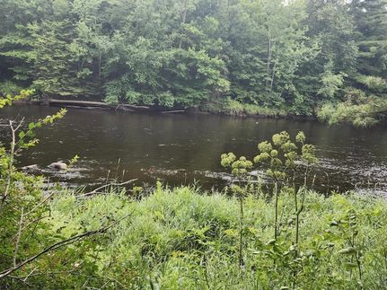 Undeveloped Land for sale in Price County, Wisconsin