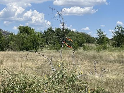 Undeveloped Land for sale in Williamson County, Texas