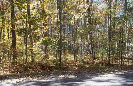 Property for sale in Roscommon County, Michigan