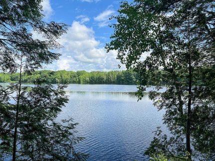 Undeveloped Land for sale in Penobscot County, Maine