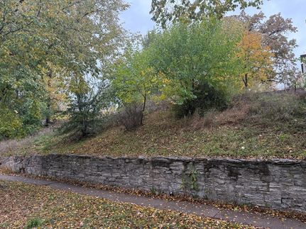 Property for sale in Ramsey County, Minnesota