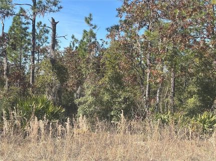 Property for sale in Levy County, Florida