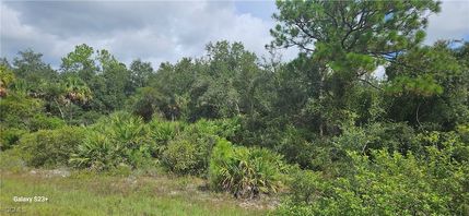 Property for sale in Hendry County, Florida