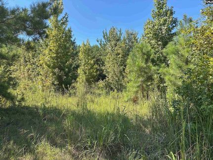 Property for sale in Richland County, South Carolina