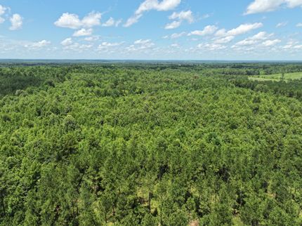 Property for sale in Harrison County, Texas