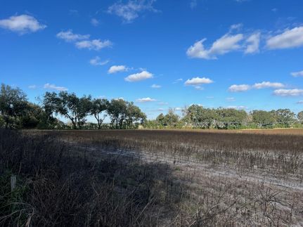 Farm Property for sale in Levy County, Florida