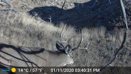 Property for sale in Wheatland County, Montana