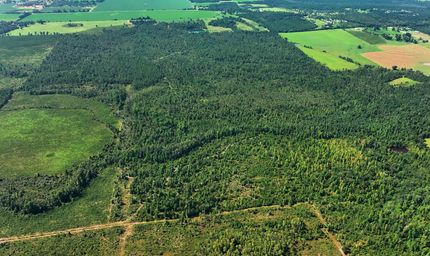 Hunting Land for sale in Jackson County, Florida