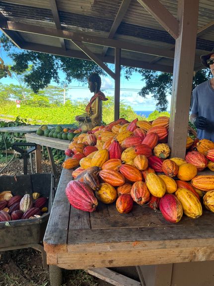 Riverfront Property for sale in Maui County, Hawaii