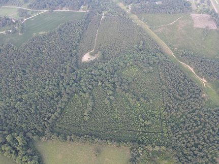 Recreational Property for sale in Jefferson Davis County, Mississippi