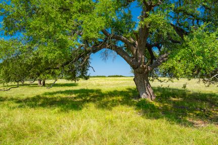 Property for sale in Williamson County, Texas