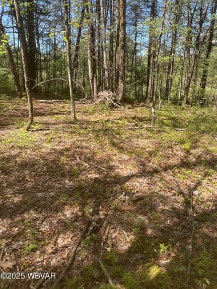 Property for sale in Lycoming County, Pennsylvania