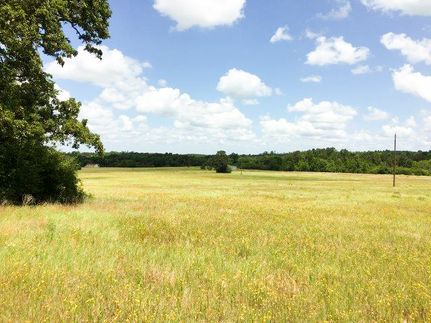 Property for sale in Leon County, Texas