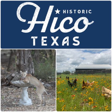 Property for sale in Hamilton County, Texas