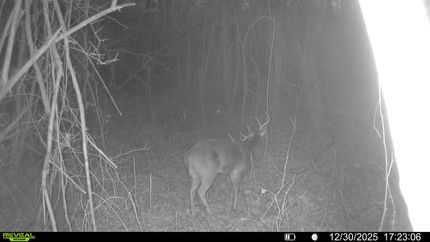 Property for sale in Tippah County, Mississippi