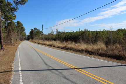 Undeveloped Land for sale in Florence County, South Carolina