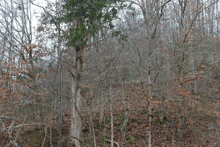 Property for sale in Morgan County, Kentucky