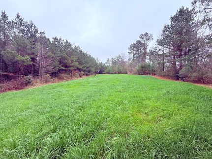 Hunting Land for sale in Franklin County, Mississippi