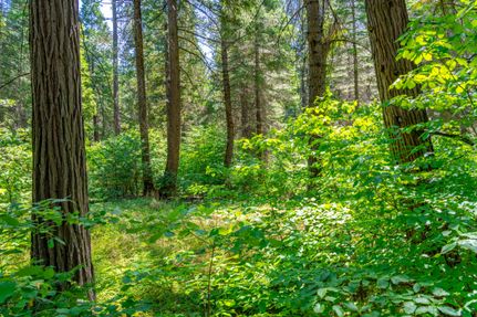 Property for sale in El Dorado County, California