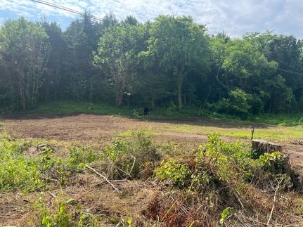 Property for sale in Cumberland County, Kentucky