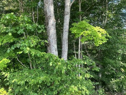 Property for sale in Clay County, Tennessee