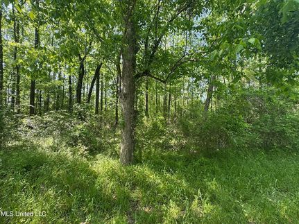 Undeveloped Land for sale in Rankin County, Mississippi