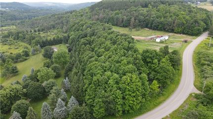 Undeveloped Land for sale in Steuben County, New York