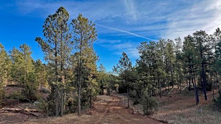 Property for sale in Custer County, South Dakota