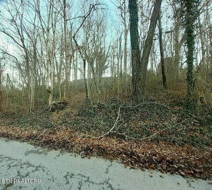 Undeveloped Land for sale in Campbell County, Tennessee