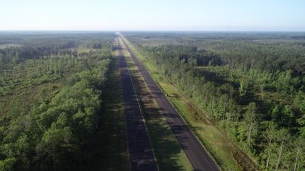 Undeveloped Land for sale in Saint Tammany Parish, Louisiana