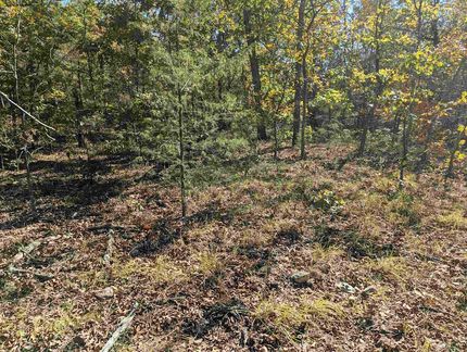 Property for sale in Fulton County, Arkansas