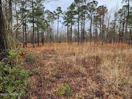 Property for sale in Craven County, North Carolina