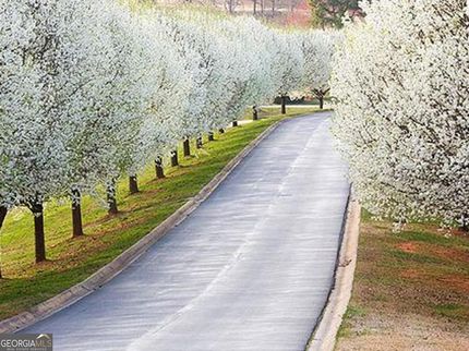 Undeveloped Land for sale in Habersham County, Georgia