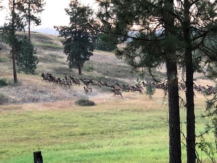 Property for sale in Stevens County, Washington