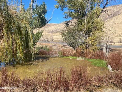 Property for sale in Douglas County, Nevada