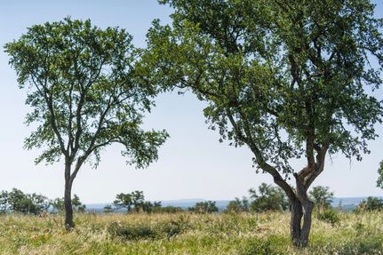 Property for sale in Burnet County, Texas