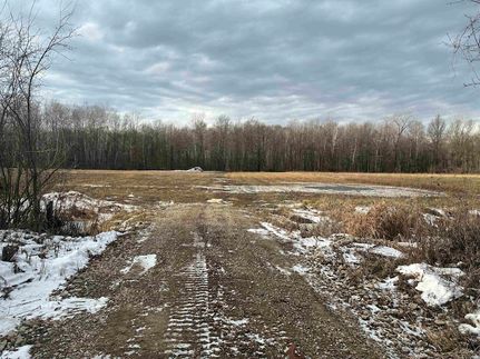 Undeveloped Land for sale in Saginaw County, Michigan