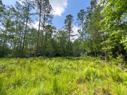 Property for sale in Jefferson County, Florida