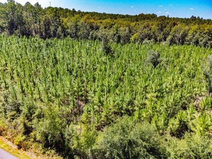 Hunting Land for sale in Liberty County, Florida