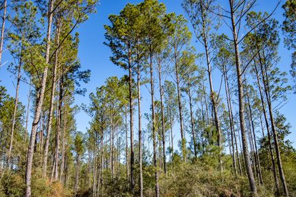 Property in Walton County, Florida