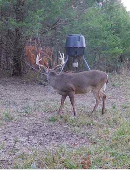 Property for sale in Montgomery County, Alabama