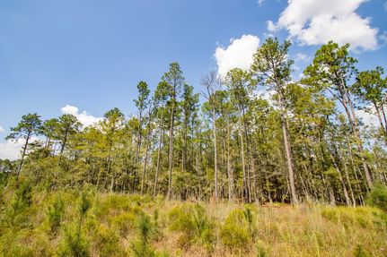 Property for sale in Holmes County, Florida
