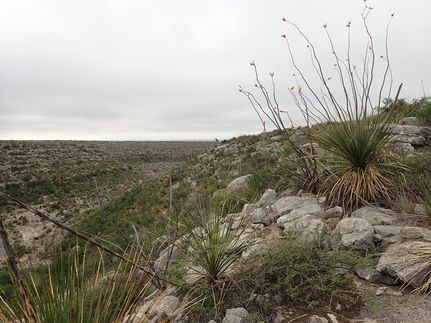 Property for sale in Terrell County, Texas