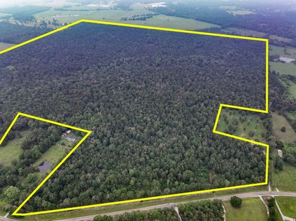 Timberland Property for sale in Angelina County, Texas