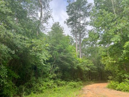 Timberland Property for sale in Hardin County, Texas