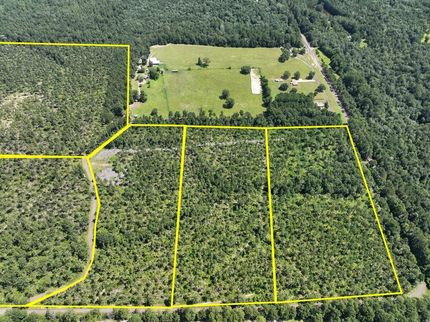 Undeveloped Land for sale in Jasper County, Texas