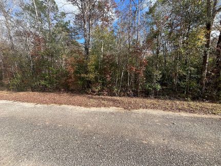 Property for sale in Butler County, Alabama